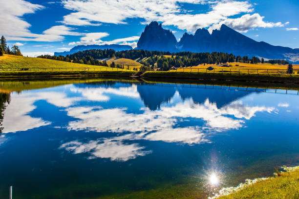 istock Beautiful sunny summer day 1156293811
