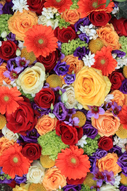 istock Colorful wedding flowers 1156295355