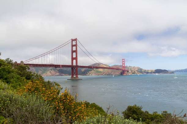 istock The Golden Gate bridge in San Francisco bay 1156296497