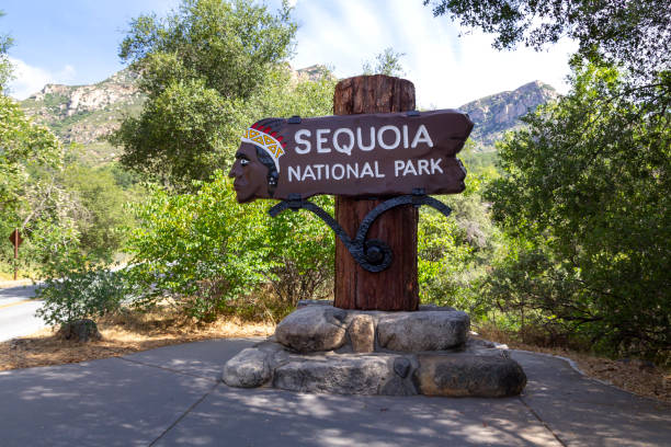 sinal do parque nacional de sequoia - ancient tree usa california - fotografias e filmes do acervo