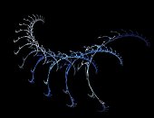 bild-eines-digitalen-fraktoals-auf-black-color.jpg?b=1&s=170x170&k=20&c=95O81eHh5w_QT9wLXhiB_ISHRE6DLBwwaFnL3hjRCo8=