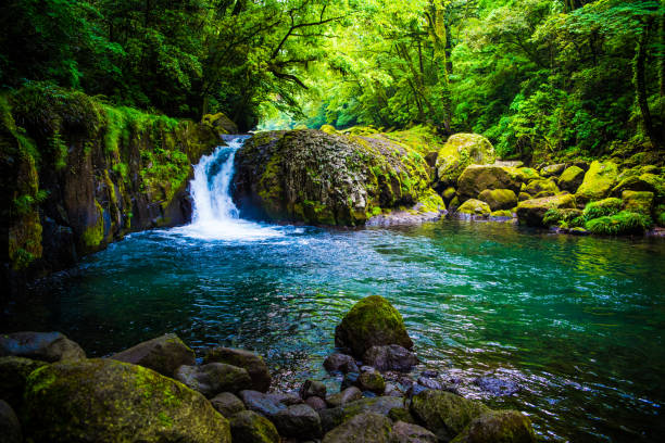 valle de kikuchi, cascada y rayo en el bosque, japón - stream forest river waterfall fotografías e imágenes de stock