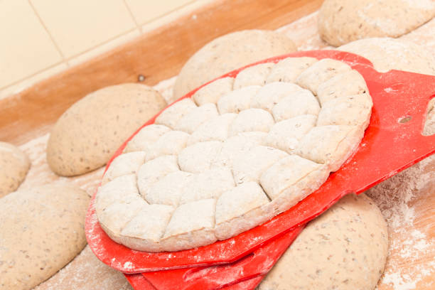 Pre formed raw bread rolls on a tray