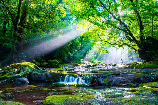 istock Kikuchi valley, waterfall and ray in forest, Japan 1156298050