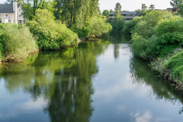 istock Green River In Tukwila 1156298853