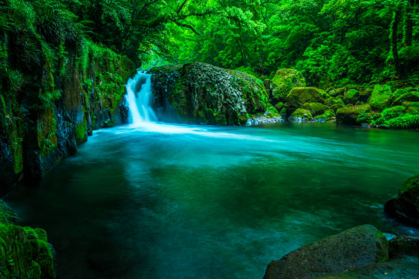 valle di kikuchi, cascata e raggi nella foresta, giappone - stream river water spring foto e immagini stock