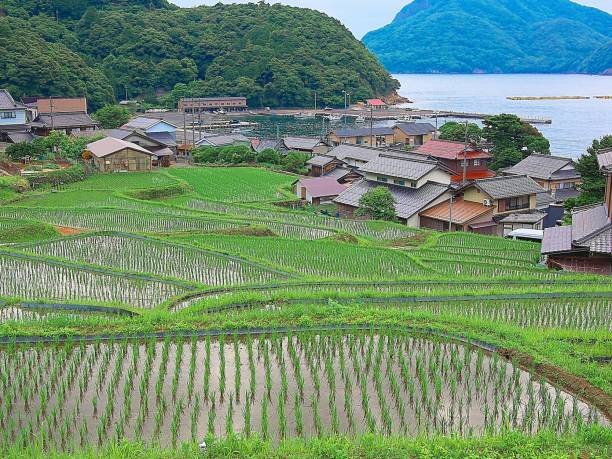 istock Japanese landscape720 Village 1156298965