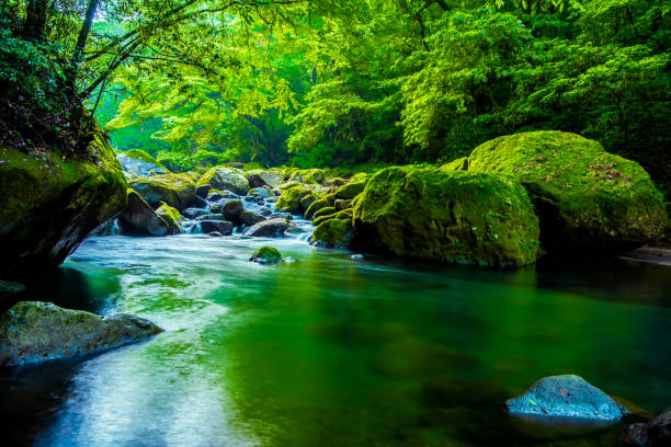 valle di kikuchi, cascata e raggi nella foresta, giappone - stream river water spring foto e immagini stock