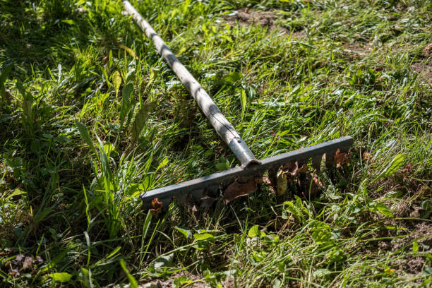 istock gardening tools in green meadow on the ground 1156301911
