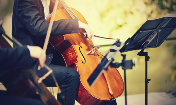 istock Performance by the musician with the cello. 1156308615