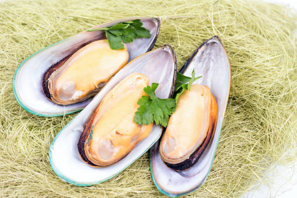 istock Boiled large mussels with parsley 1156309667