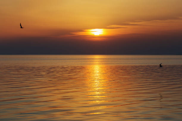 istock beautiful summer sunset on lake 1156314492