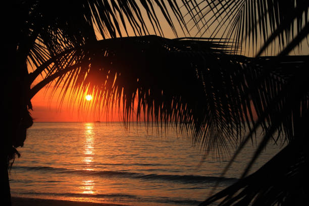 istock Sunset in Jamaica, Caribbean sea. 1156317352