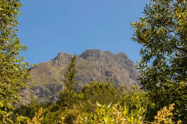 Mountains in the Tablemountain National Park, Cape Town, South Africa. Panorama of forest, blue sky and mountains.