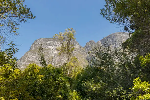 Mountains in the Tablemountain National Park, Cape Town, South Africa. Panorama of forest, blue sky and mountains.