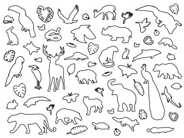 Animal shaped outline isolated, vector illustration Animal shaped outline isolated, vector illustration the boar fish stock illustrations