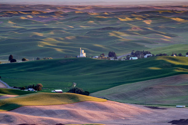 istock Views of the Palouse 1156320945