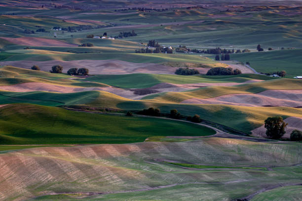 istock Views of the Palouse 1156320960