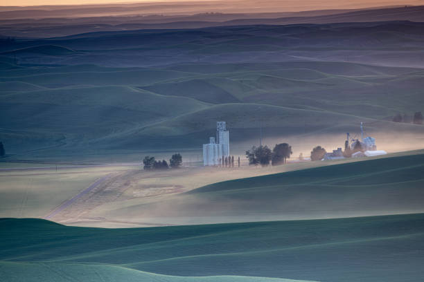 istock Views of the Palouse 1156320999