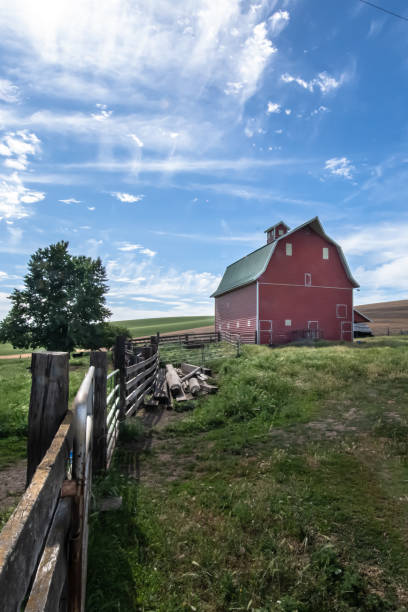 Views of the Palouse Views of the Palouse region of Washington State whitman county washington state stock pictures, royalty-free photos & images