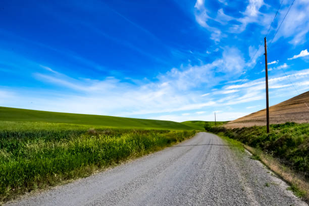 istock Views of the Palouse 1156321028