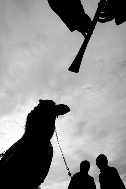 istock A Camel and a zurna player 1156325567