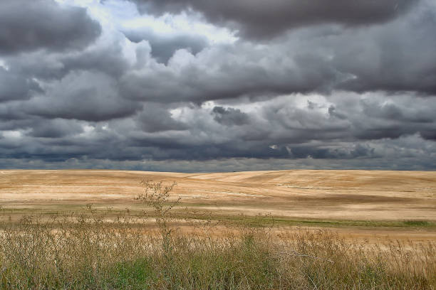 ciel dramatique au-dessus des champs de blé - washington state spokane farm crop photos et images de collection