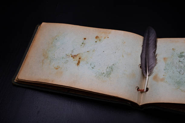 istock An old diary with stained pages and a small bird's feather. Notebook on a dark table. Black background. 1156328958