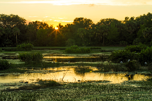 Green Cay Nature Center and Wetlands sunset