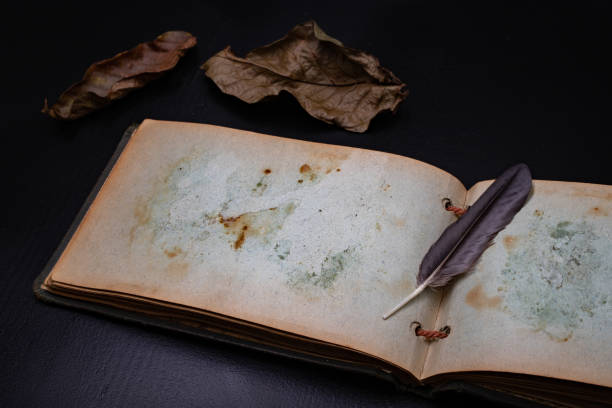 istock An old diary with stained pages and a small bird's feather. Notebook on a dark table. Black background. 1156328993