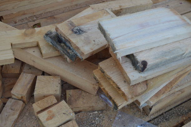 istock Building knots and designs from a tree, fastening of a framework 1156330951