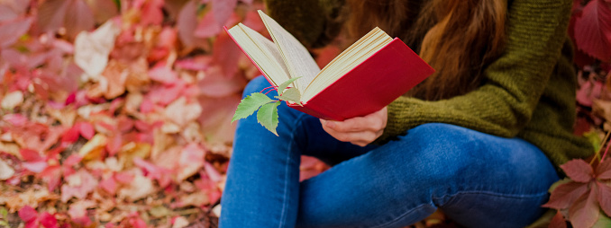Girl in blue jeans sitting among colorful ivy in autumn and reading a book in red cover.
