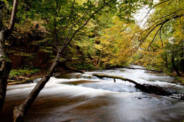 istock late summer landscape with river and waterfalls 1156332974