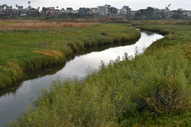 istock Wetland Creek with Lush Banks Center Frame 1156333071