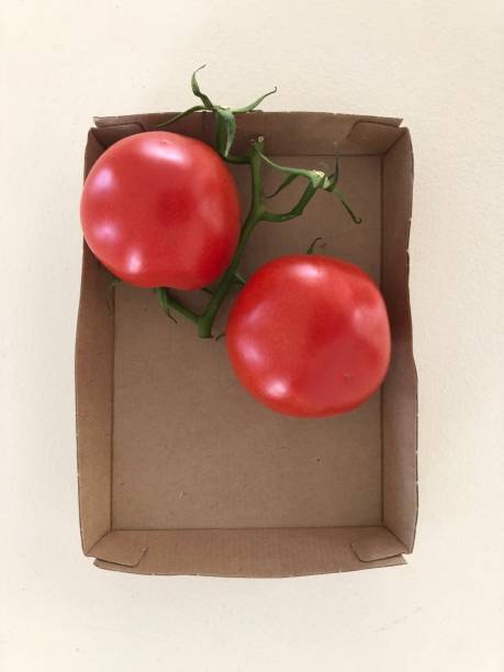istock Two Red Tomatoes in a Brown Cardboard Box 1156338571