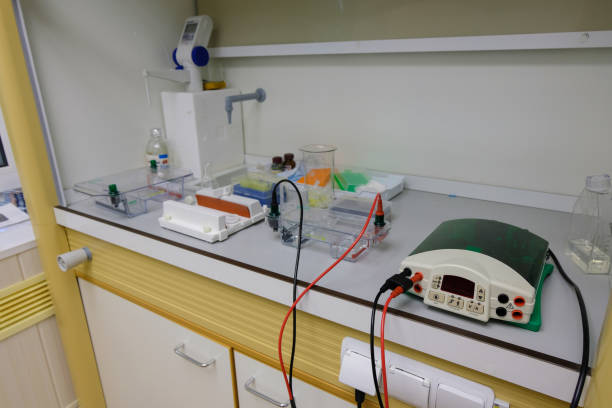 оборудование для гель-электрофореза в ламинарный ящик в биохимической лаборатории - dna sequencing gel dna laboratory equipment analyzing стоковые фото и изображения