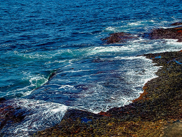 ondas que amarram as costas atlânticas-capa de peggy, ns, canadá - nova scotia extreme terrain cape breton island landscape - fotografias e filmes do acervo