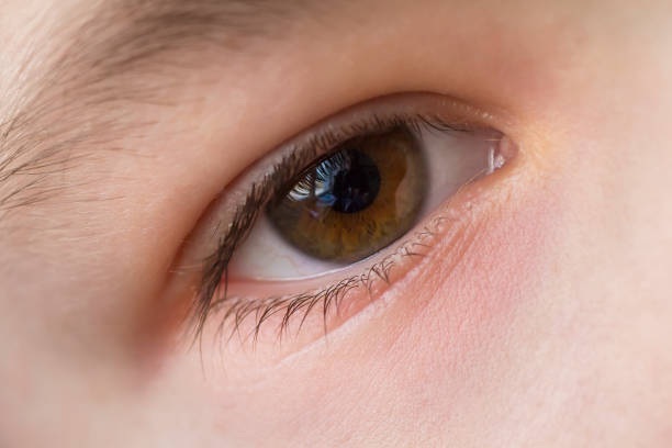 istock Close up macro of child boy eye 1156340884