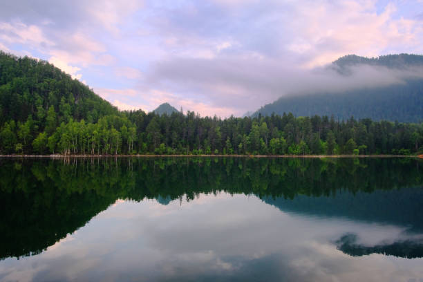 istock Beautiful forest lake in the early morning 1156343676