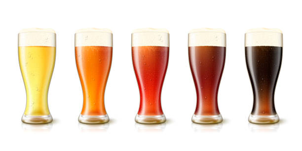 Vector 3d realistic various beers in tall glasses Vector 3d realistic various beers in tall glasses, yellow, amber, red, dark and black. Mockup template for beer advertising sanguine fluid stock illustrations