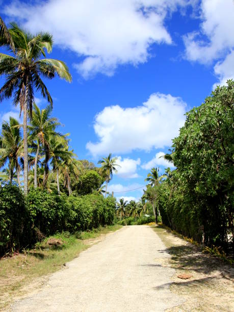 istock Dirt road on tropical island 1156347210