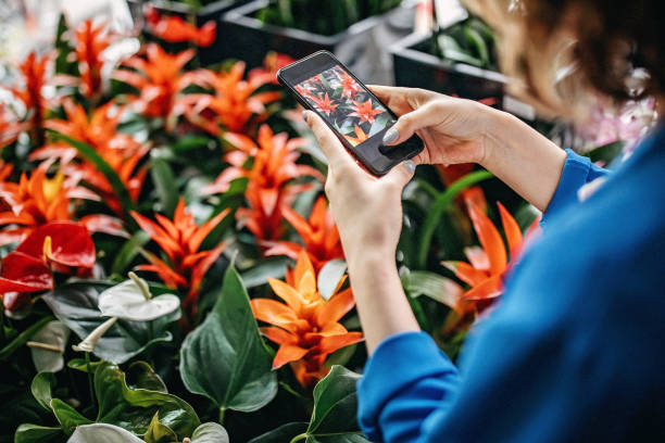 istock My flowers, my precious 1156348894