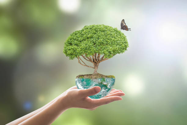 istock Saving environment and natural conservation concept with tree planing on green globe earth on volunteer's hands: Elements of this image furnished by NASA 1156350074