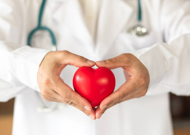 Cardiovascular disease doctor or cardiologist holding red heart in clinic or hospital exam room office for csr professional medical service, cardiology health care and world heart health day concept Cardiovascular disease doctor or cardiologist holding red heart in clinic or hospital exam room office for csr professional medical service, cardiology health care and world heart health day concept heart disease photos stock pictures, royalty-free photos & images