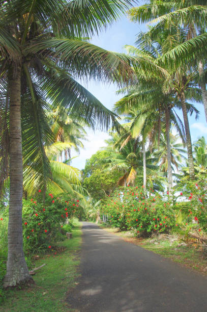 istock Road on Tropical Island 1156351481