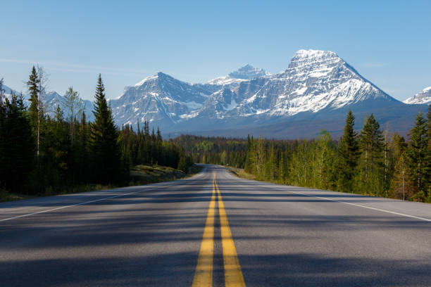 istock Morning road lined with trees leading to high mountains 1156351723