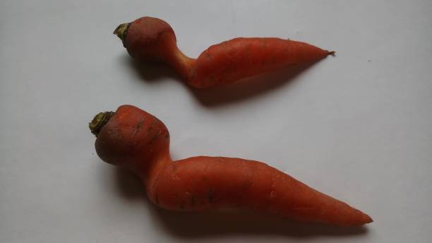 istock Funny carrot shapes. 1156353026