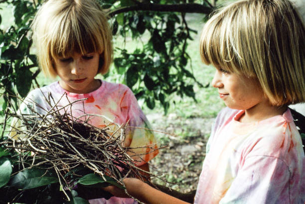 istock Sisters looking at a bird nest 1156361104
