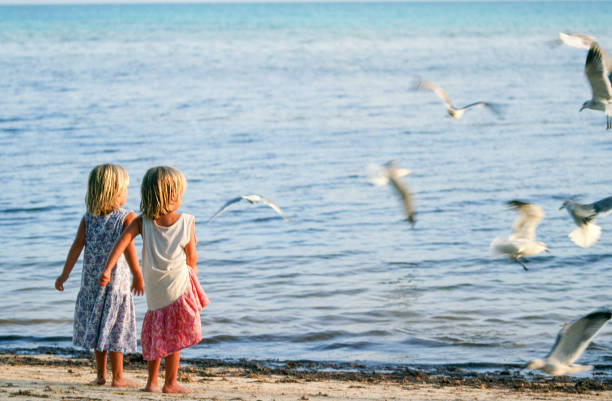 istock Twin sisters looking out over the water at flying seagulls 1156361107