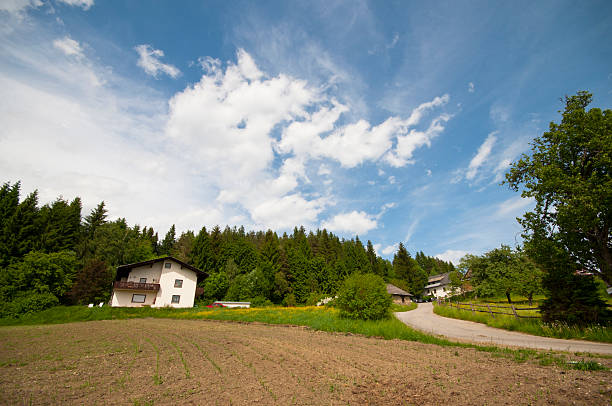 istock Beauty in Nature 115636568